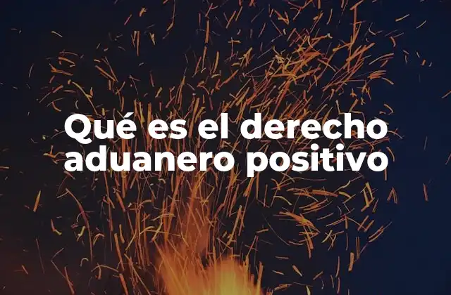 El marco legal que sustenta el derecho aduanero positivo