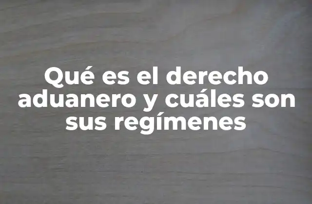 El papel de las aduanas en el control del comercio internacional