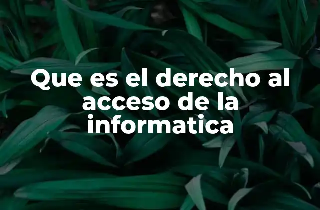 Que es el Derecho Al Acceso de la Informatica