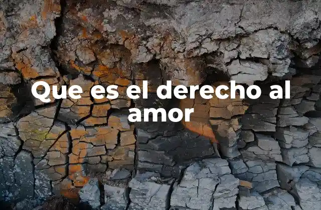 Que es el Derecho Al Amor