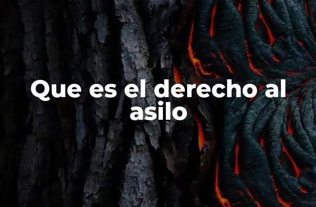 Que es el Derecho Al Asilo