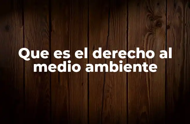 Que es el Derecho Al Medio Ambiente