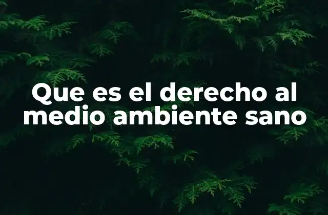 El rol del derecho al medio ambiente en la justicia social