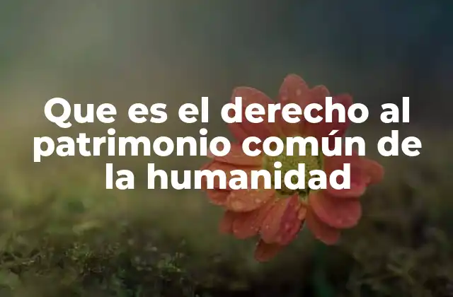 Que es el Derecho Al Patrimonio Común de la Humanidad