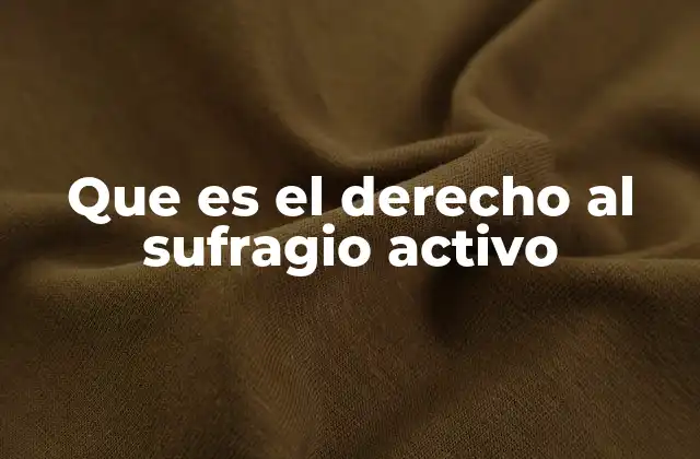 Que es el Derecho Al Sufragio Activo