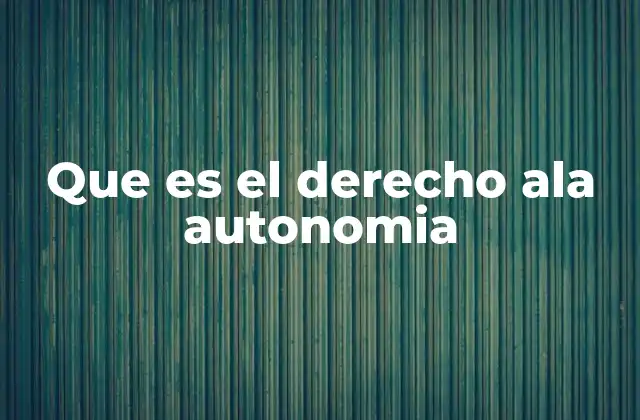 Que es el Derecho Ala Autonomia
