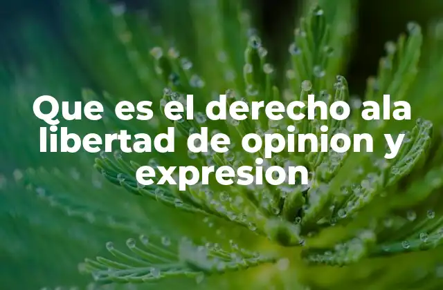 Que es el Derecho Ala Libertad de Opinion y Expresion