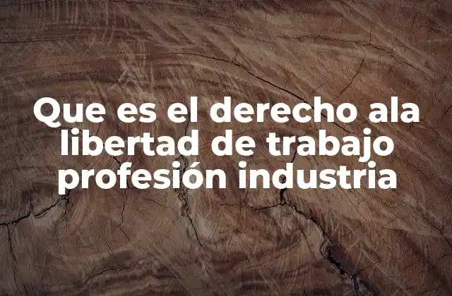 Que es el Derecho Ala Libertad de Trabajo Profesión Industria