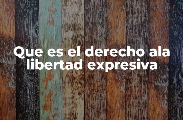 Que es el Derecho Ala Libertad Expresiva