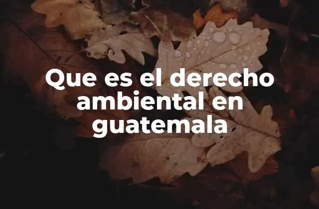 Que es el Derecho Ambiental en Guatemala