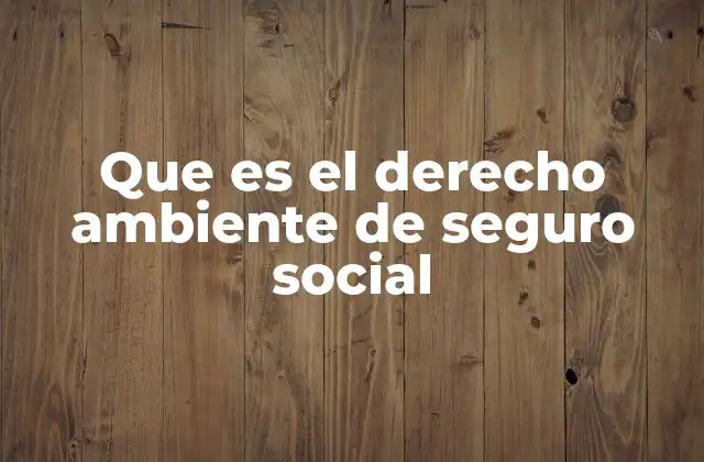Que es el Derecho Ambiente de Seguro Social
