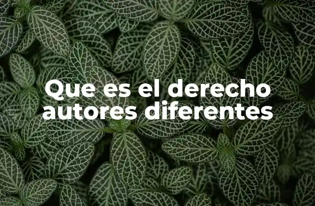 Que es el Derecho Autores Diferentes