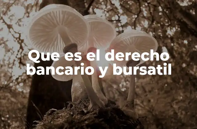 Que es el Derecho Bancario y Bursatil