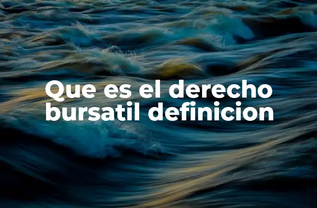 Que es el Derecho Bursatil Definicion