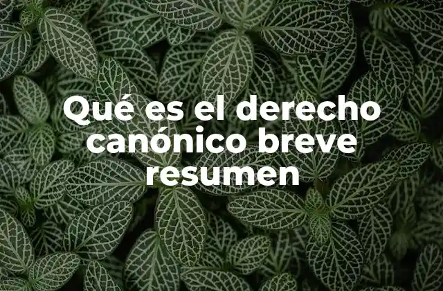Qué es el Derecho Canónico Breve Resumen