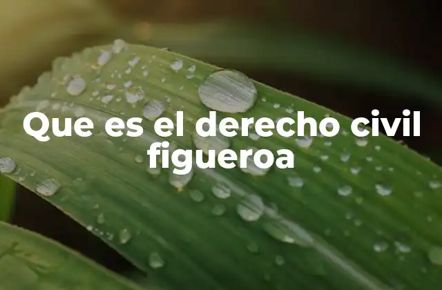 Que es el Derecho Civil Figueroa