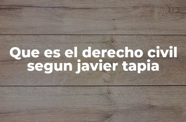 Que es el Derecho Civil Segun Javier Tapia