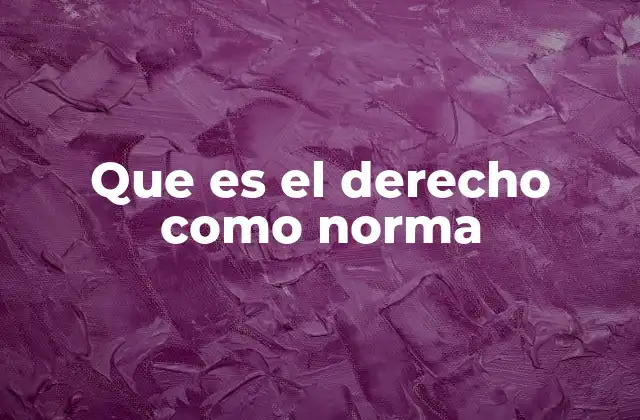 Que es el Derecho como Norma