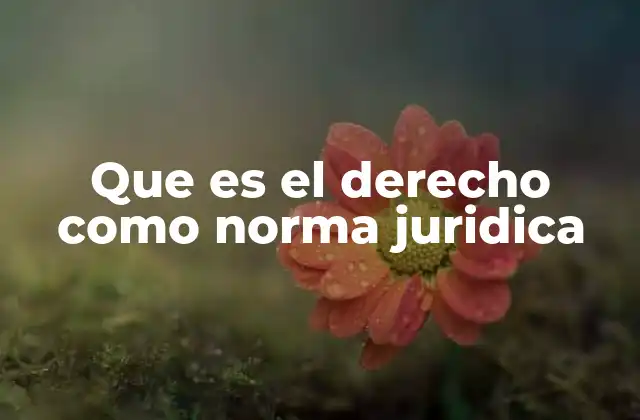 Que es el Derecho como Norma Juridica