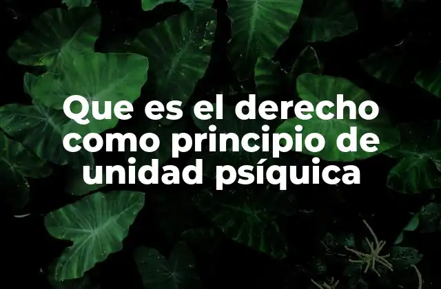 El derecho como base de la cohesión social
