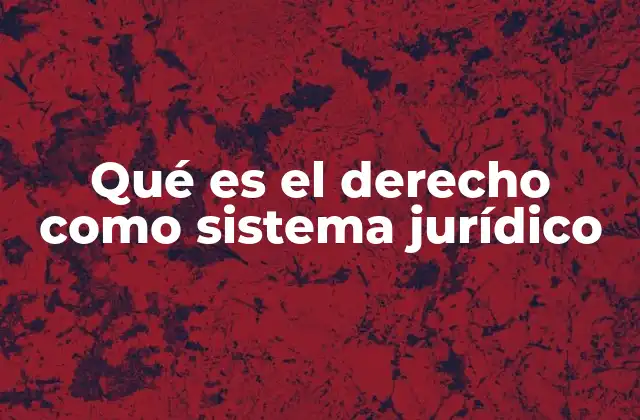 Qué es el Derecho como Sistema Jurídico 2 El derecho como marco de organización social