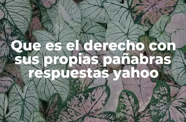Que es el Derecho con Sus Propias Pañabras Respuestas Yahoo