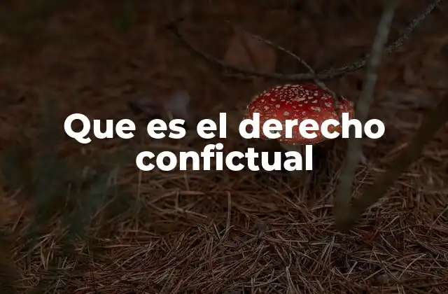 Que es el Derecho Confictual