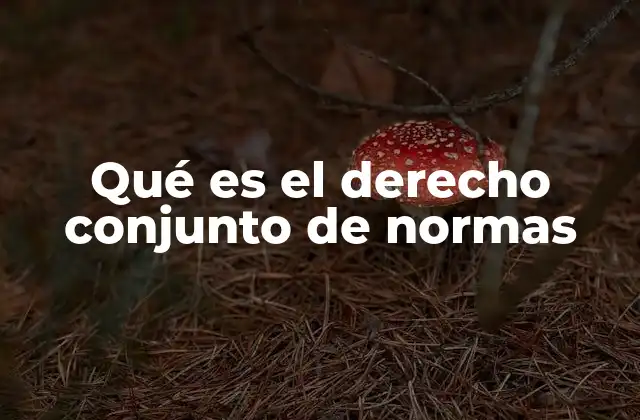 Qué es el Derecho Conjunto de Normas