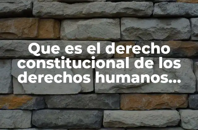 Que es el Derecho Constitucional de los Derechos Humanos Corcuera