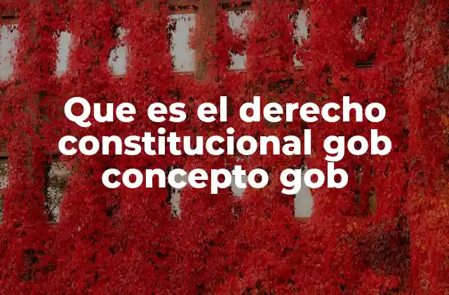 Que es el Derecho Constitucional Gob Concepto Gob