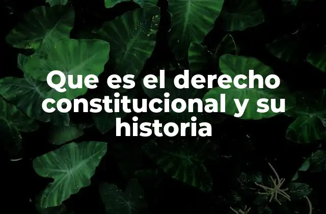 Que es el Derecho Constitucional y Su Historia