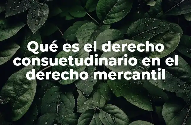 Qué es el Derecho Consuetudinario en el Derecho Mercantil
