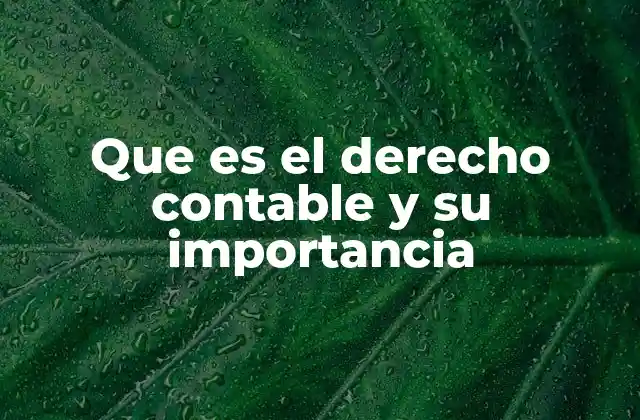 Que es el Derecho Contable y Su Importancia