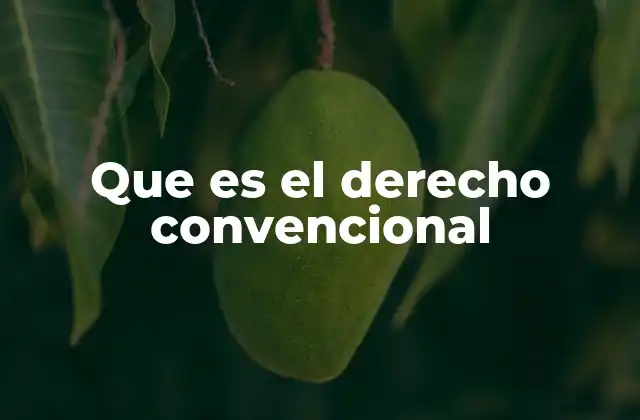 El papel del derecho convencional en la regulación global