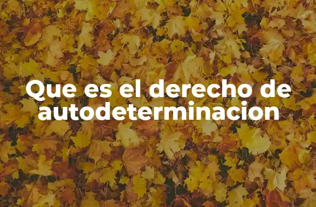 Que es el Derecho de Autodeterminacion