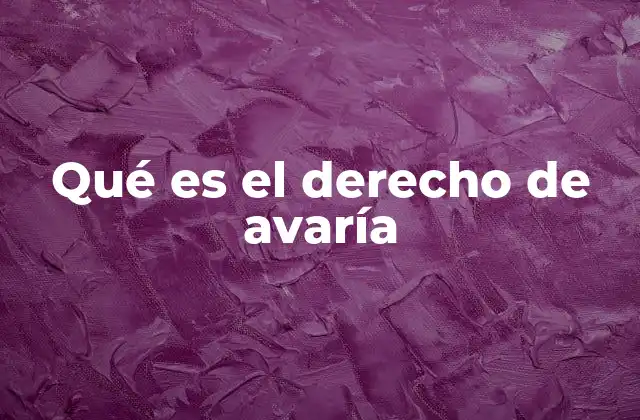 Qué es el Derecho de Avaría