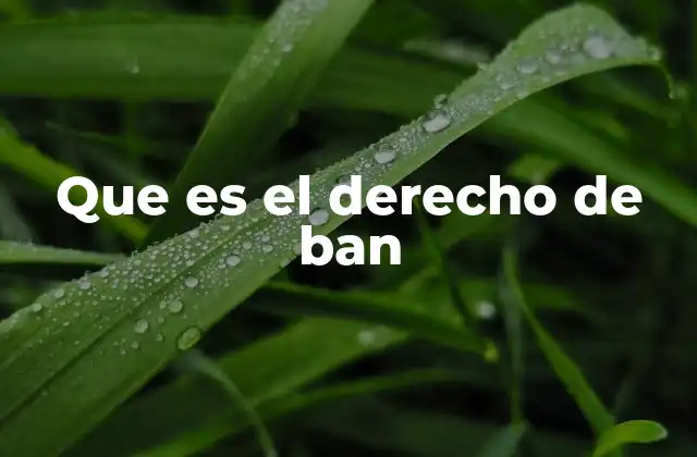 Que es el Derecho de Ban