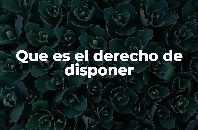 Que es el Derecho de Disponer