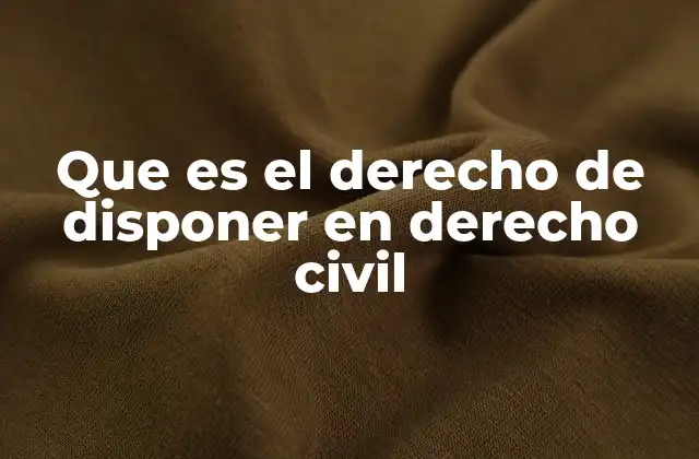 Que es el Derecho de Disponer en Derecho Civil
