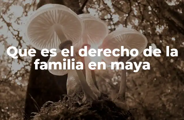 Que es el Derecho de la Familia en Maya