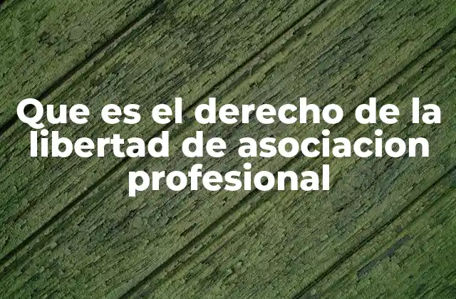 Que es el Derecho de la Libertad de Asociacion Profesional