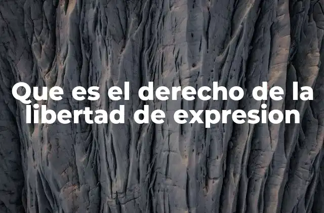El derecho a la libertad de expresión como base de la sociedad democrática