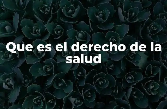 Que es el Derecho de la Salud