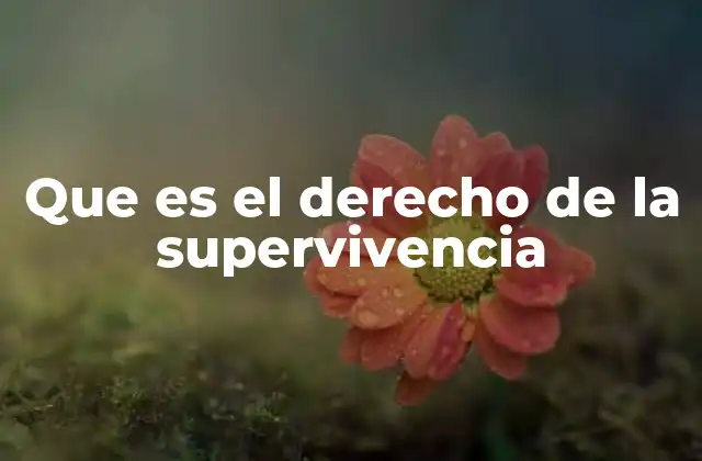 Que es el Derecho de la Supervivencia 2 La base legal y moral del derecho a la supervivencia