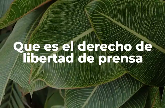 Que es el Derecho de Libertad de Prensa 2 La importancia de la comunicación libre en la sociedad