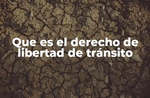 Que es el Derecho de Libertad de Tránsito