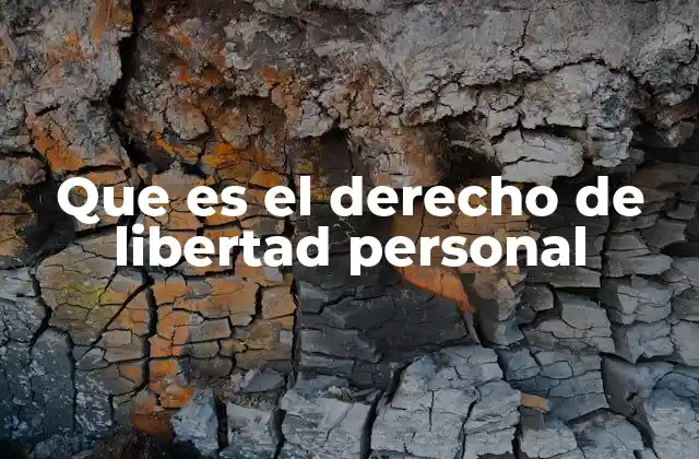 Que es el Derecho de Libertad Personal