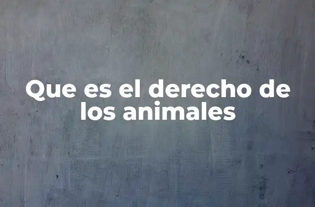 Que es el Derecho de los Animales 2 La evolución del trato hacia los animales en la sociedad moderna
