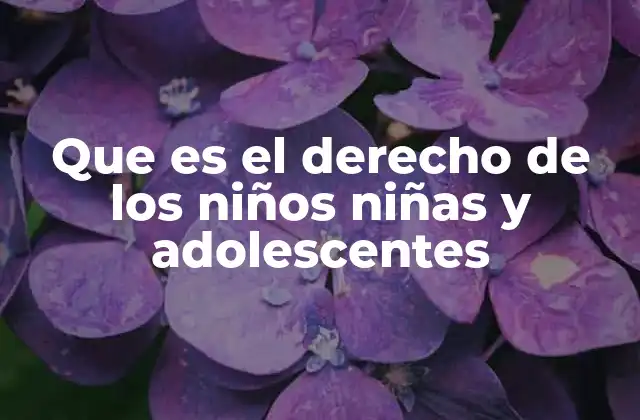 Que es el Derecho de los Niños Niñas y Adolescentes