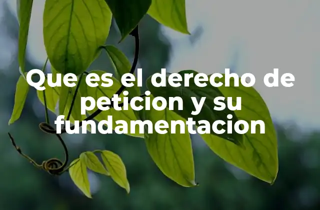 Que es el Derecho de Peticion y Su Fundamentacion